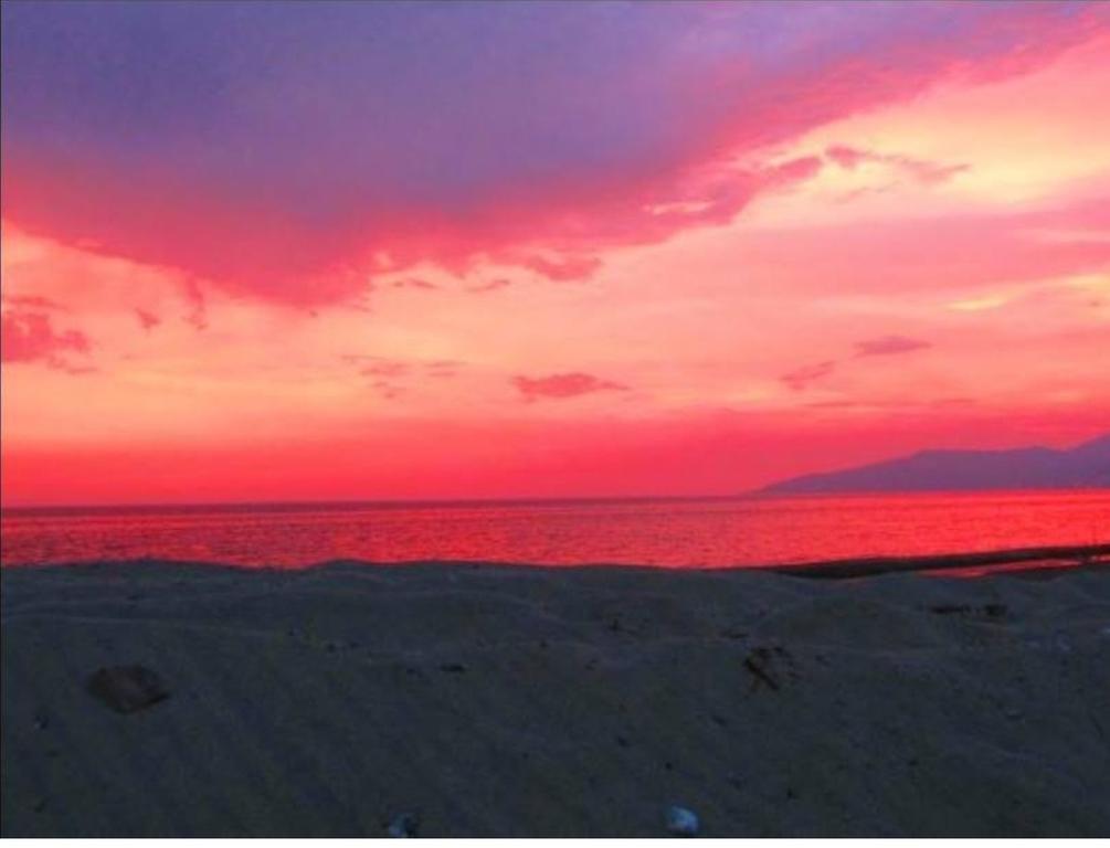 Resort Villaggio Le Palme 3*